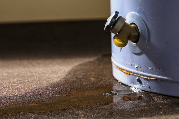 Best Fire Damage Restoration  in Mayville, WI