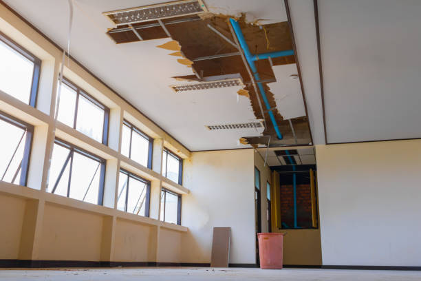 Best Commercial water damage restoration  in Mayville, WI