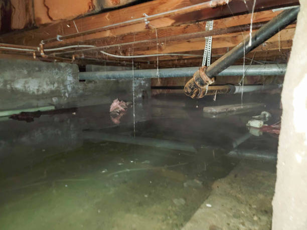 Best 24/7 water damage repair  in Mayville, WI