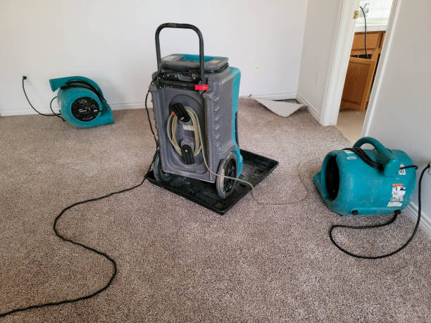 Best Ceiling water damage repair  in Mayville, WI