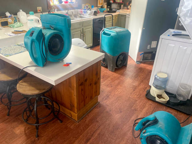 Best Water damage contractors near me  in Mayville, WI