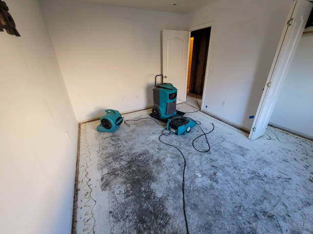 Best Flood damage cleanup  in Mayville, WI