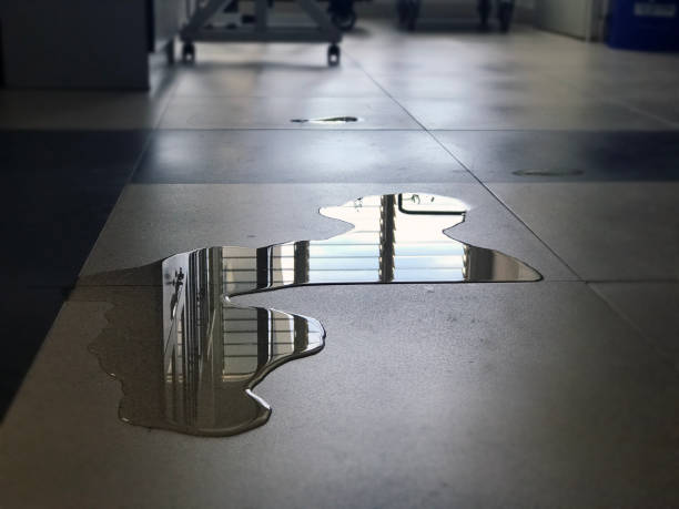 Best Water damage restoration process  in Mayville, WI