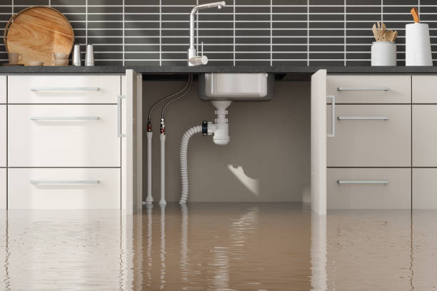 Best Professional water damage repair  in Mayville, WI