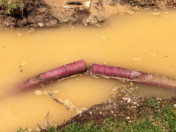Best Residential water damage restoration  in Mayville, WI