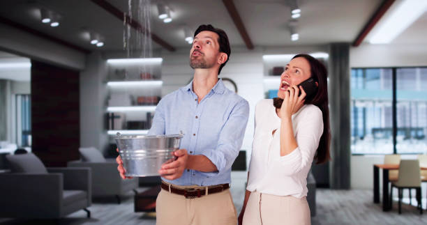 Best Mold removal after water damage  in Mayville, WI