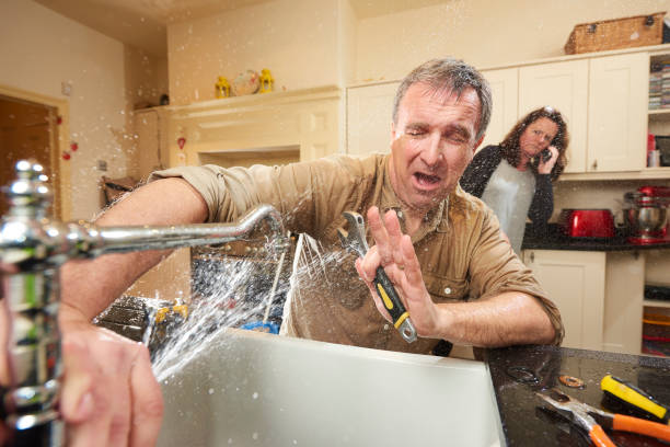 Best Sewage cleanup and water damage restoration  in Mayville, WI